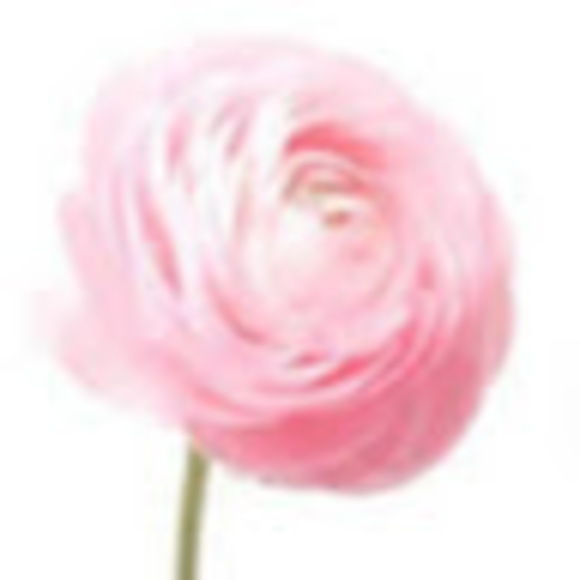 Meet your Posher, Laura - Picture 1 of 1